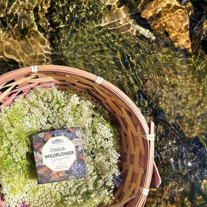 Chaga Wildflower Shampoo Bar 2.5oz