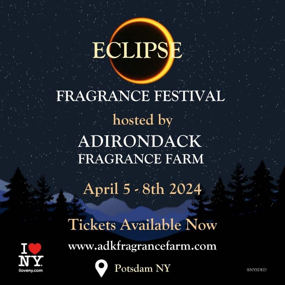 Eclipse Fragrance Festival Discovery Pack