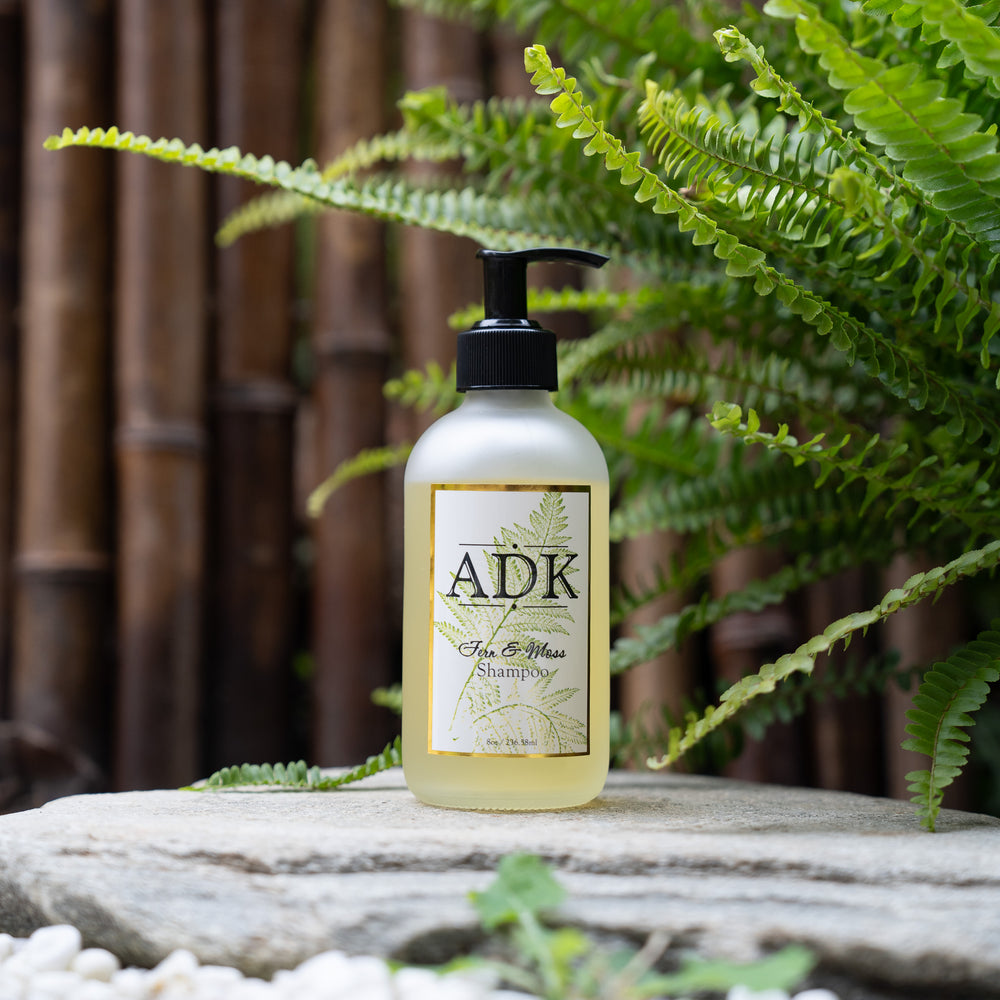 Shampoing Fougère et Mousse 8 oz
