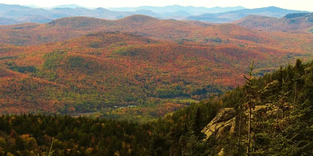 Exploring-the-Beauty-of-Dix-Mountain-A-Guide-to-Hiking-in-the-Adirondacks Adirondack Fragrance