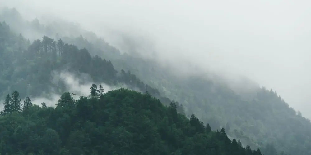 Hiking-the-High-Peaks-Exploring-the-Beauty-of-Gothics-Mountain-in-the-Adirondacks Adirondack Fragrance