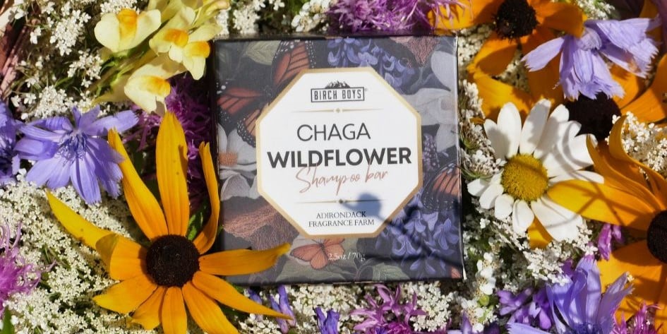 How to Make Chaga Soap - A Chaga Mushroom Soap Recipe From Farm To Factory