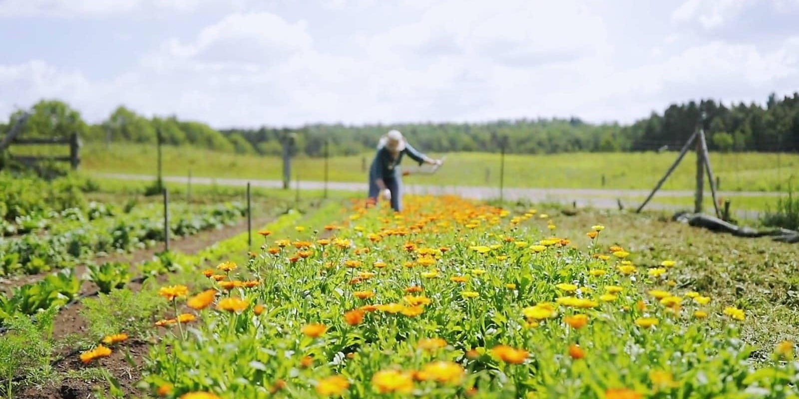 It’s that PLANTING time of year again!
