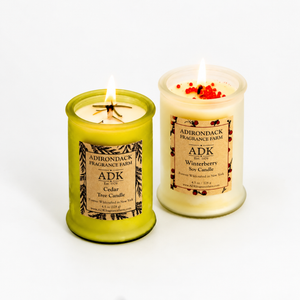 Winter Forest Candle Duo | Cedar Tree + Winterberry Soy Candles (4.5 oz × 2)