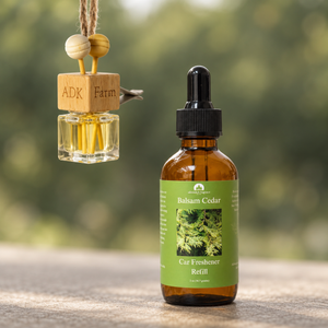 Adirondack Car Freshener + Refill Bundle