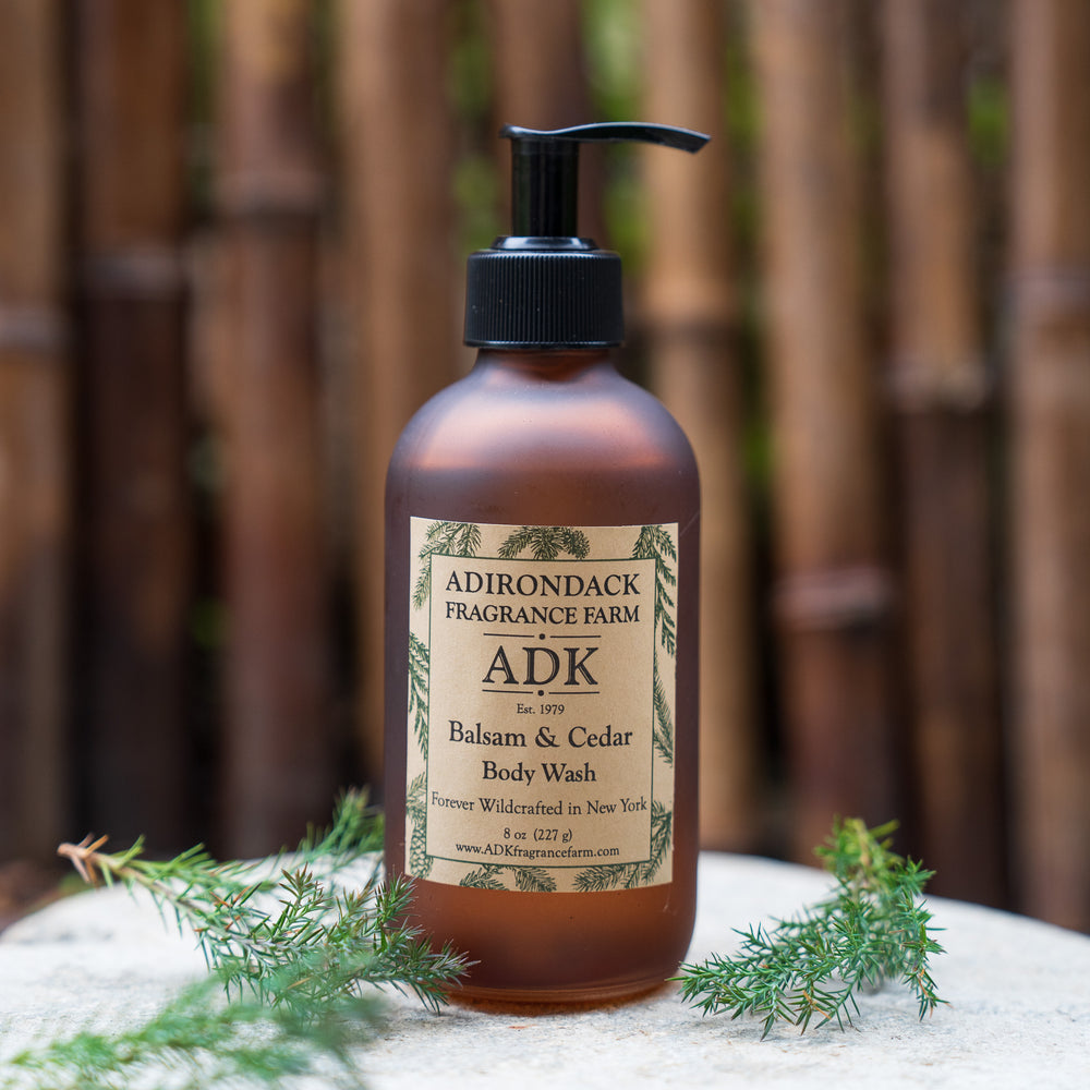 Balsam Cedar Body Wash 8oz