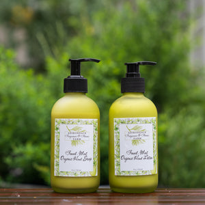 Fennel Mint Body Lotion 8 oz