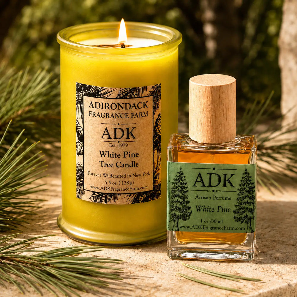 White Pine Candle & Perfume Set