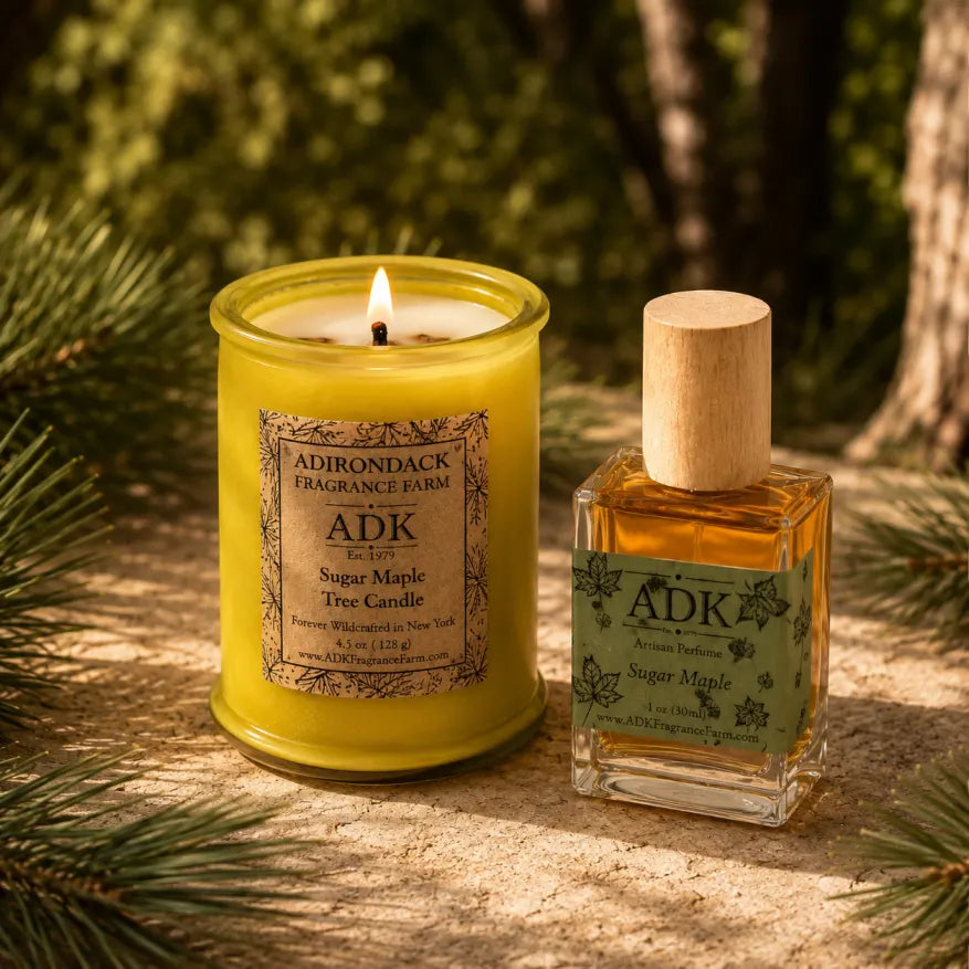 Sugar Maple Candle & Perfume Set