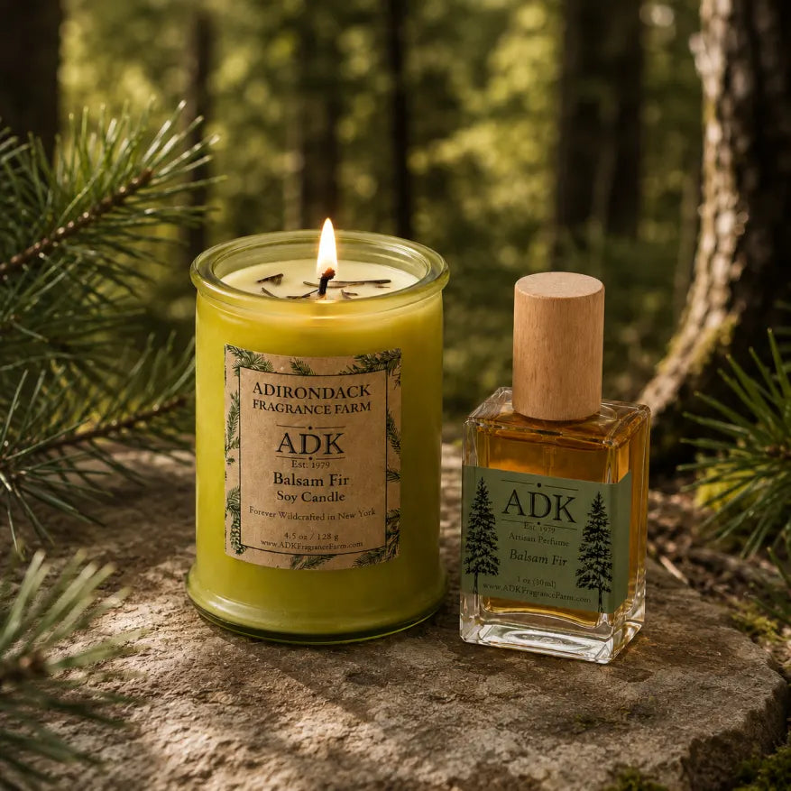Balsam Fir Candle & Perfume Set