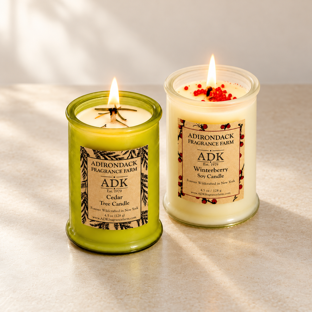 Winter Forest Candle Duo - Handcrafted by Adirondack Fragrance & Flavor Farm