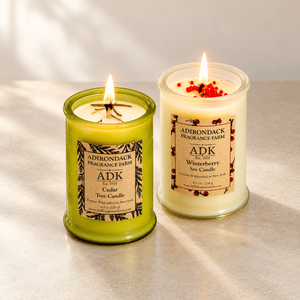 Winter Forest Candle Duo | Cedar Tree + Winterberry Soy Candles (4.5 oz × 2)