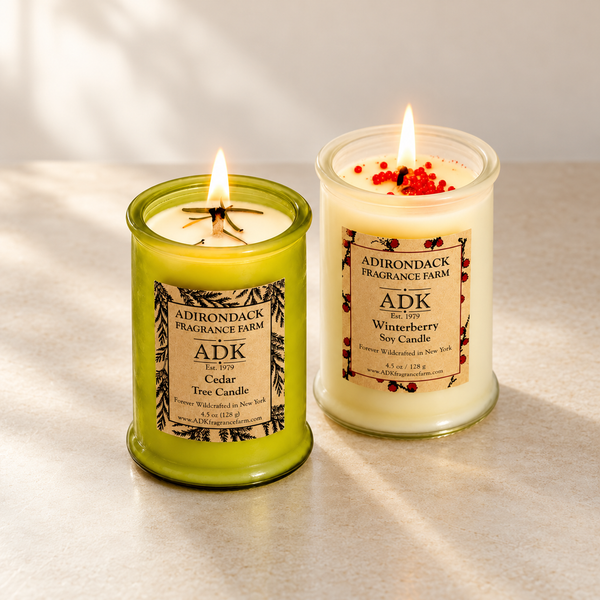 Winter Forest Candle Duo | Cedar Tree + Winterberry Soy Candles (4.5 oz × 2)