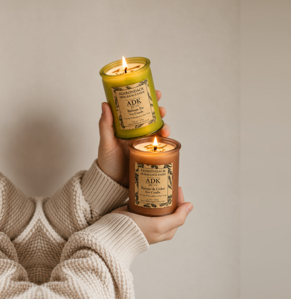 Balsam Candle Duo | Balsam & Cedar + Balsam Fir Soy Candles