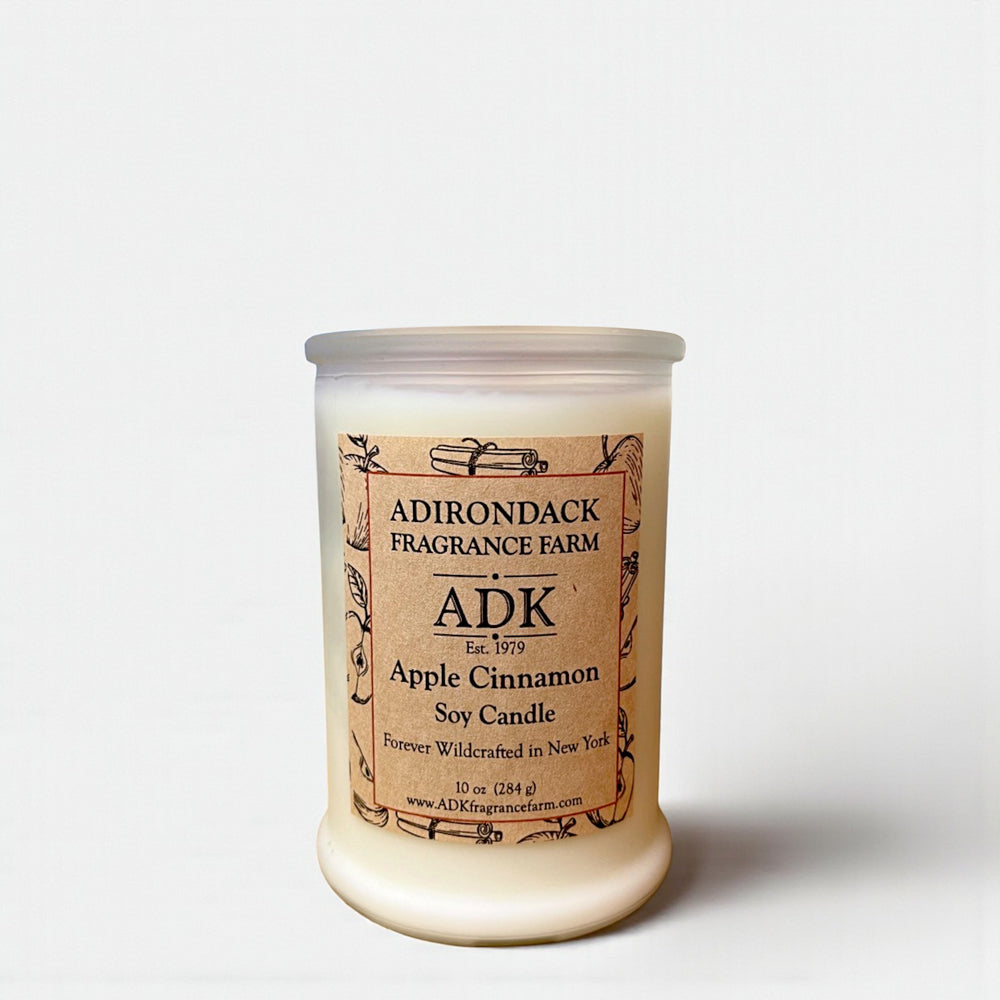 Apple Cinnamon Candle