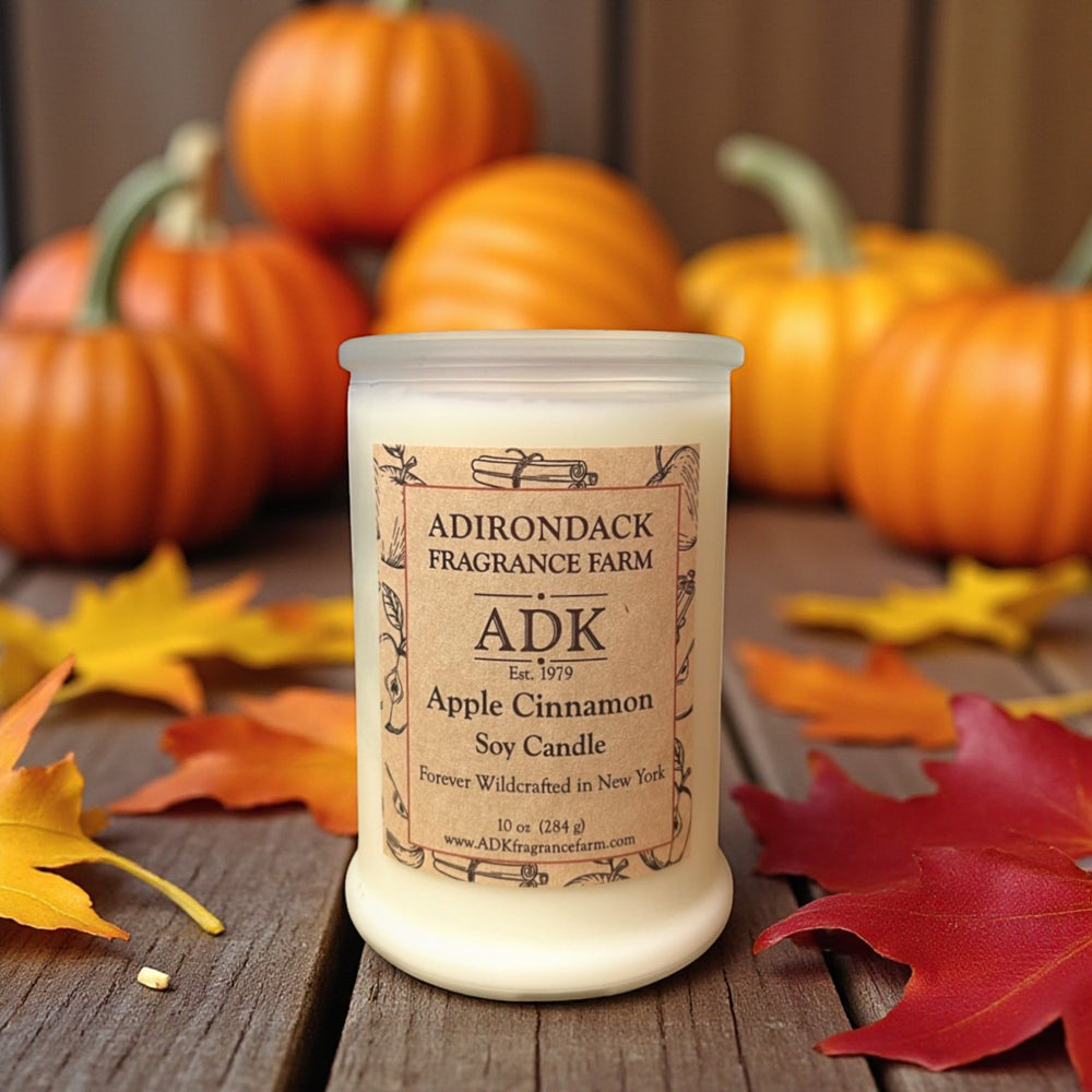 Apple Cinnamon Candle